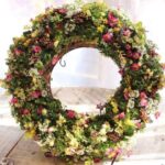 ブログ復活しました❗️