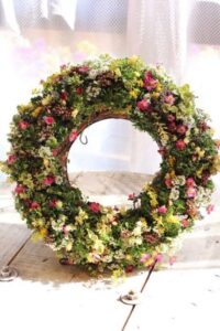 ブログ復活しました❗️